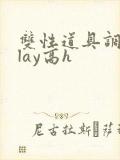 双性道具调教play高h