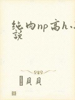纯肉np高h小说