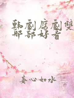 韩剧腐剧双男主哪部好看