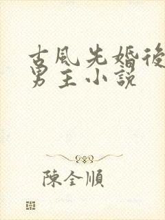 古风先婚后爱双男主小说