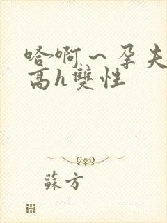 哈啊～孕夫大肚高h双性