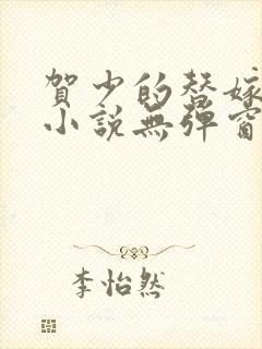 贺少的替嫁新娘小说无弹窗