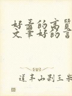 好看的高质量的文笔好的言情