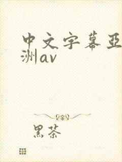中文字幕亚洲欧洲av