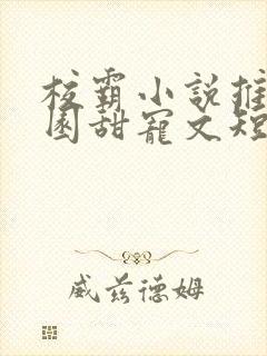 校霸小说推荐校园甜宠文短篇