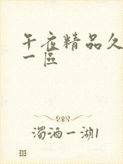 午夜精品久久久一区