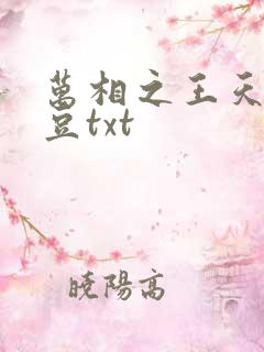 万相之王天蚕土豆txt