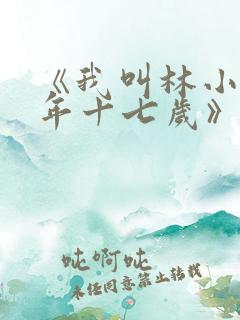 《我叫林小喜今年十七岁》