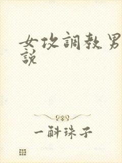 女攻调教男受小说