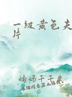 一级黄色夫妻大片
