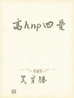 高hnp四爱