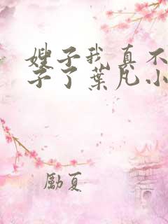 嫂子我真不是傻子了叶凡小说全篇