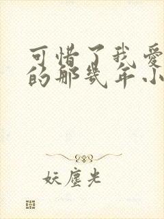 可惜了我爱着你的那几年小说免费阅读