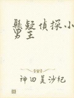 悬疑侦探小说双男主