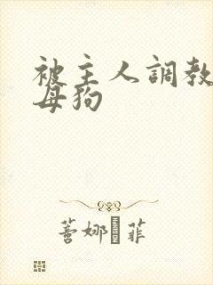 被主人调教的骚母狗