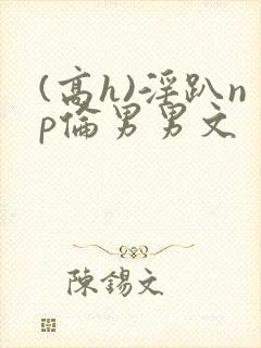 (高h)淫趴np伦男男文