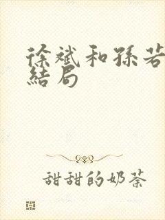 徐斌和孙若微的结局