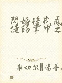 闪婚后我成了大佬的掌中之物女主