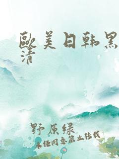 欧美日韩黑丝高清