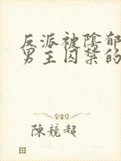 反派被阴郁疯批男主囚禁的小说