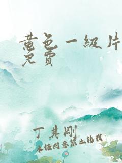 黄色一级片夫妻免费