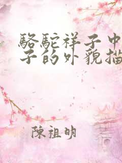 骆驼祥子中对祥子的外貌描写