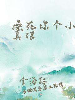 操死你个小骚货真浪