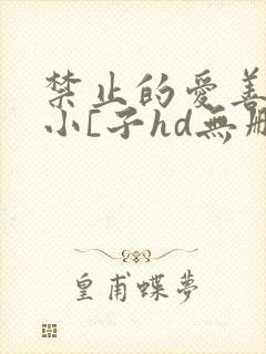 禁止的爱善良的小[子hd无删减播放韩