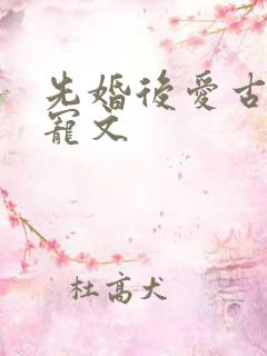 先婚后爱古言甜宠文