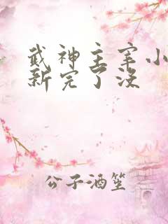 武神主宰小说更新完了没