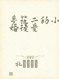 梦筱二的小说先婚后爱