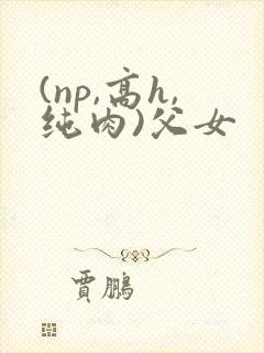 (np,高h,纯肉)父女