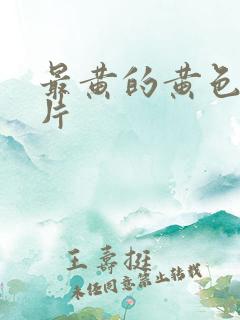 最黄的黄色一级片