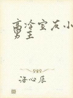 高冷室友小说双男主