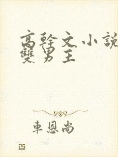 高干文小说推荐双男主