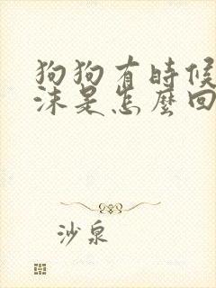 狗狗有时候吐白沫是怎么回事