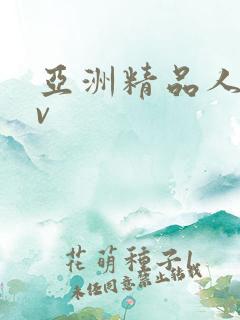 亚洲精品人妻av