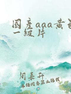 国产aaa黄色一级片
