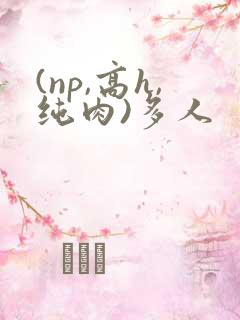 (np,高h,纯肉)多人