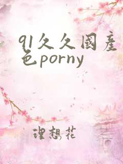 91久久国产九色porny
