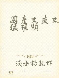 国产又爽又粗又猛视频