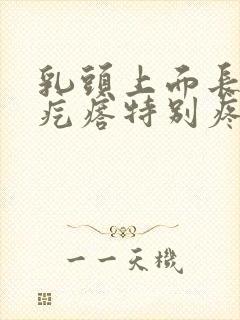 乳头上面长了个疙瘩特别疼怎么回事