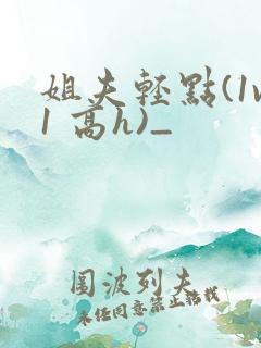 姐夫轻点(1v1 高h)_