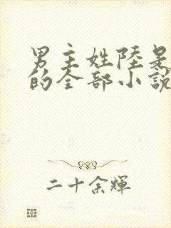 男主姓陆是总裁的全部小说