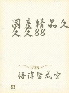 国产精品久久久久久88