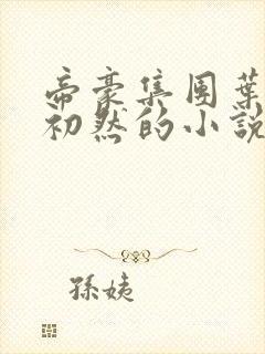 帝豪集团叶辰萧初然的小说