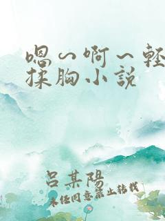 嗯∽啊～轻点禁揉胸小说