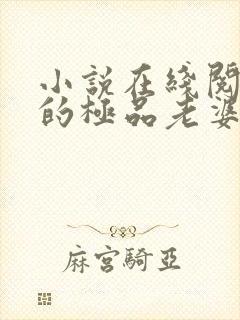 小说在线阅读我的极品老婆