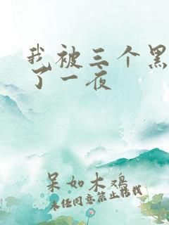 我被三个黑人操了一夜