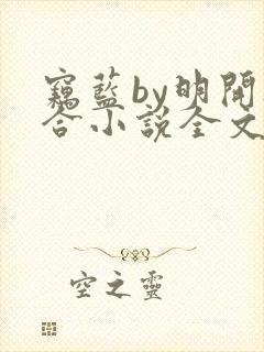 窃蓝by明开夜合小说全文免费阅读